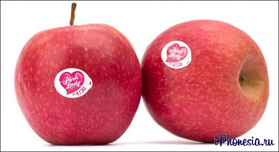Австралийке вместо двух iPhone продали пару яблок