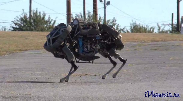 Boston Dynamics представил робота-гепарда WildCat