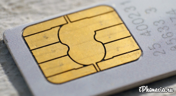 «Билайн» — лидер по продаже нелегальных SIM-карт