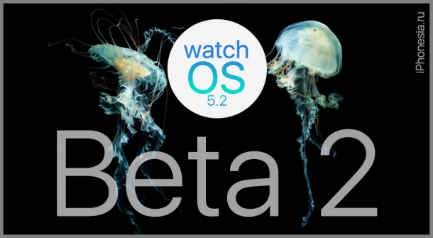 Для Apple Watch вышла watchOS 5.2 Beta 2 (16T5191d)