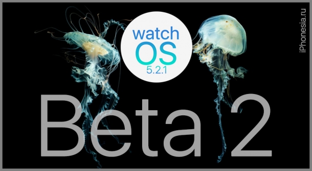 Вышло обновление watchOS 5.2.1 Beta 2