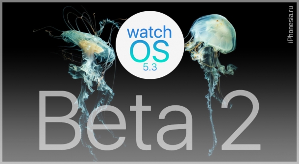 Для Apple Watch вышла watchOS 5.3 Beta 2