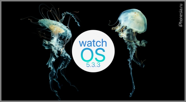 Вышла watchOS 5.3.3 для Apple Watch S1, S2, S3, S4