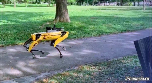 Робот от Boston Dynamics начал следить за социальным дистанцированием в парке Сингапура