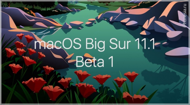 Вышла macOS Big Sur 11.1 Beta 1